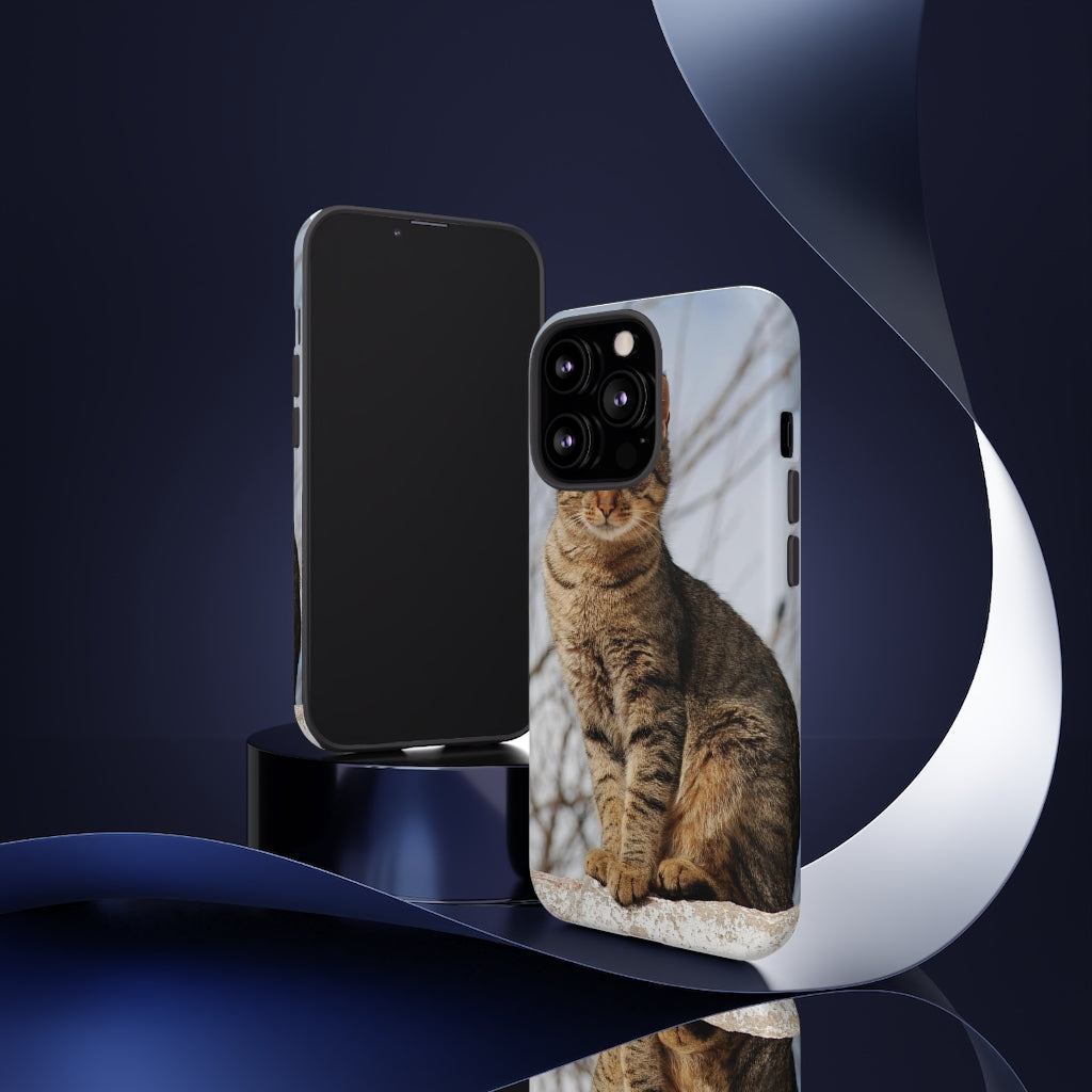 Tough Cases - preview test