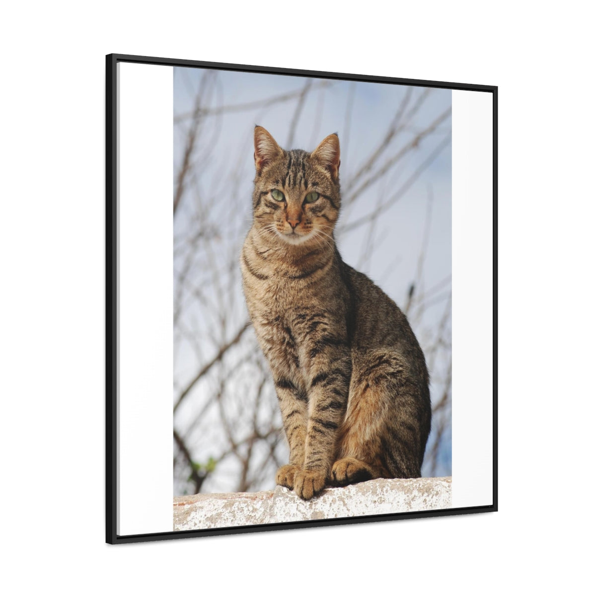 Gallery Canvas Wraps, Square Frame - preview test