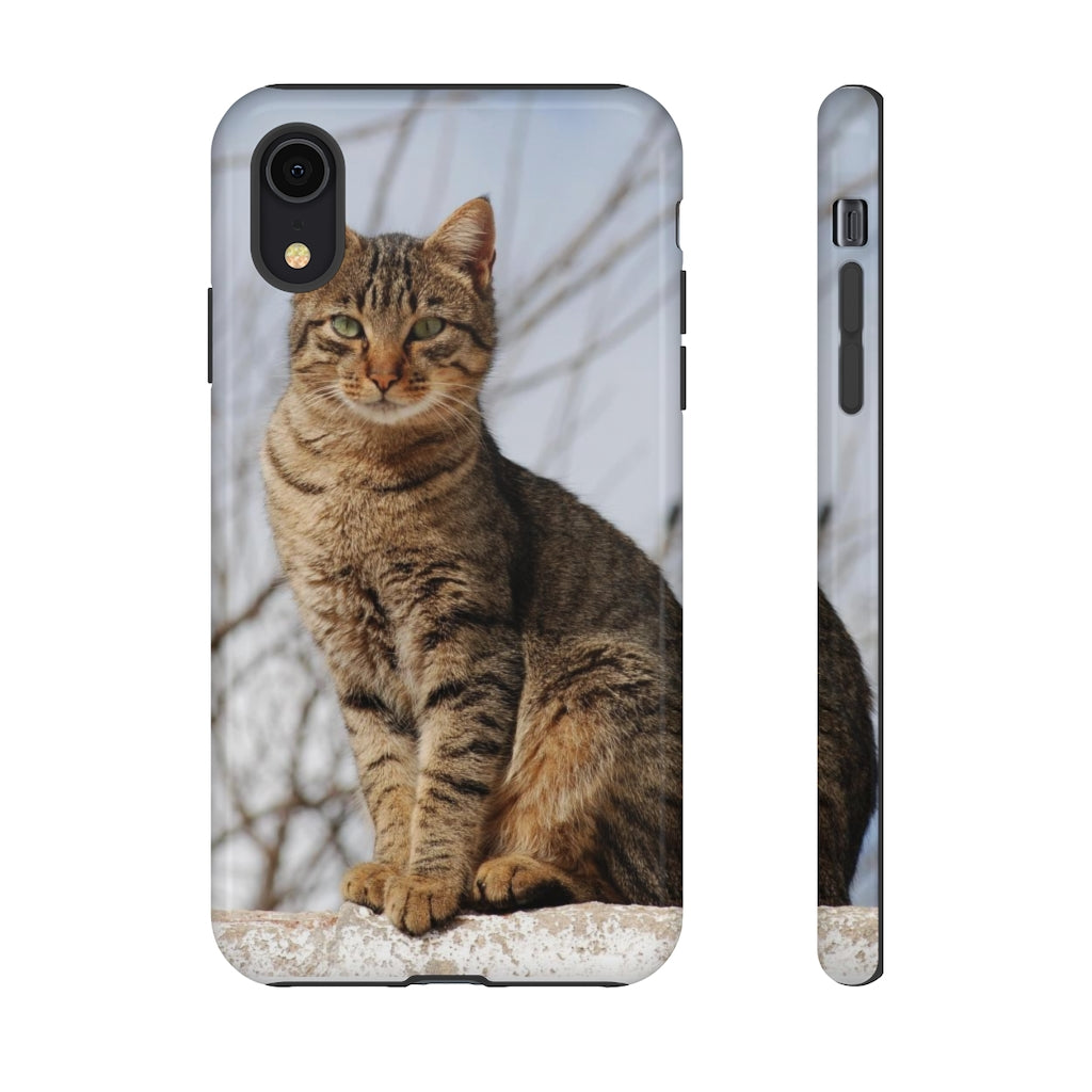 Tough Cases - preview test