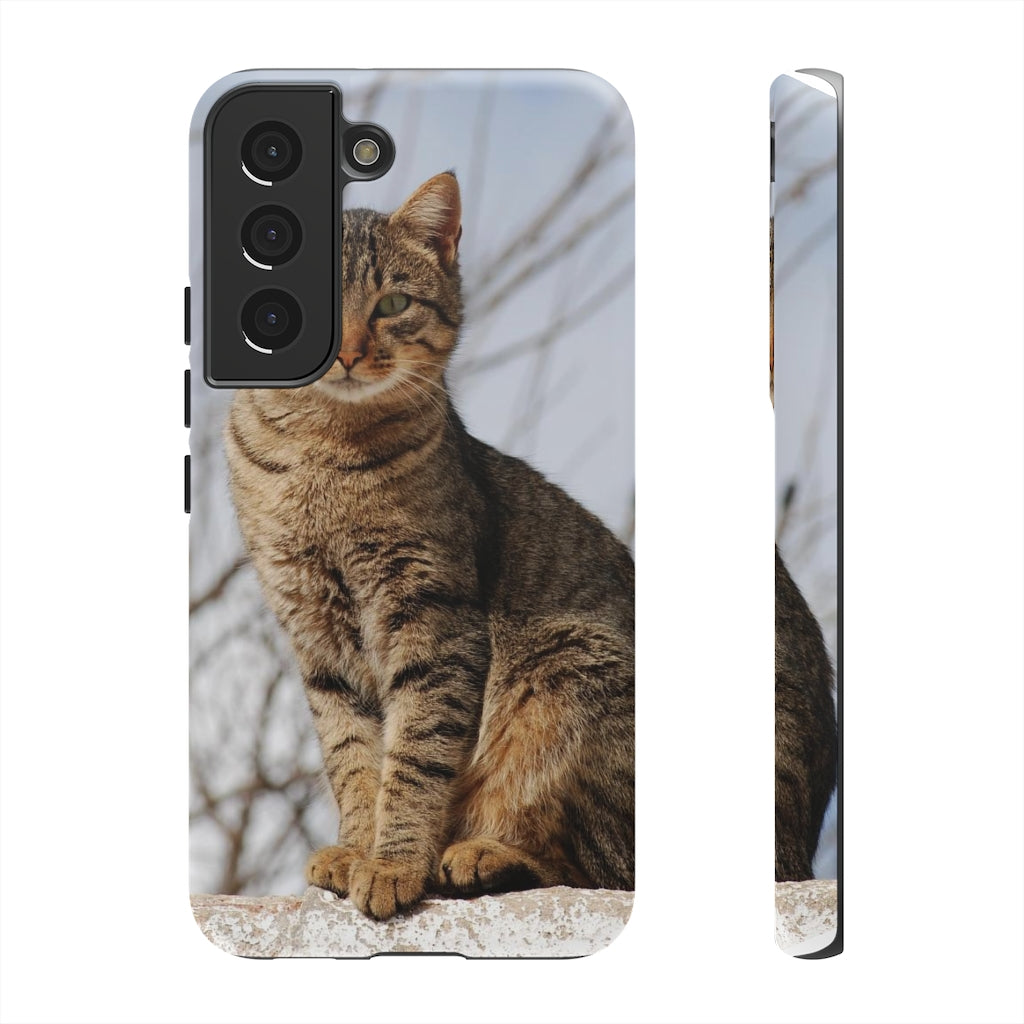 Tough Cases - preview test