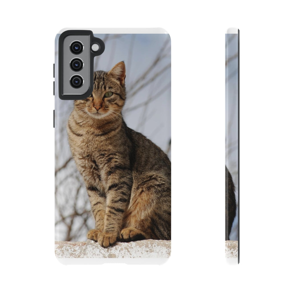 Tough Cases - preview test