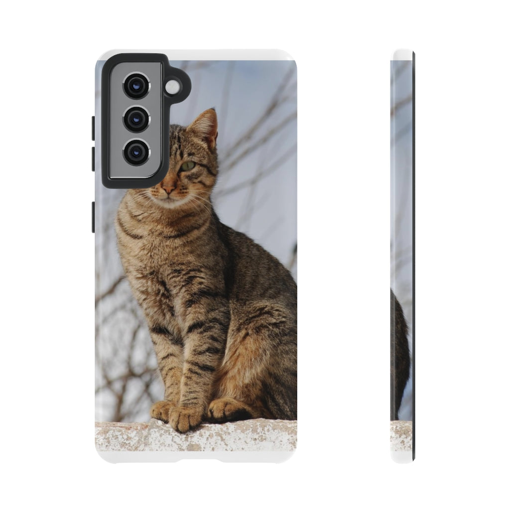 Tough Cases - preview test