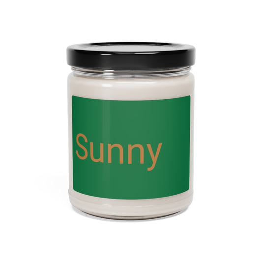 Scented Soy Candle, 9oz