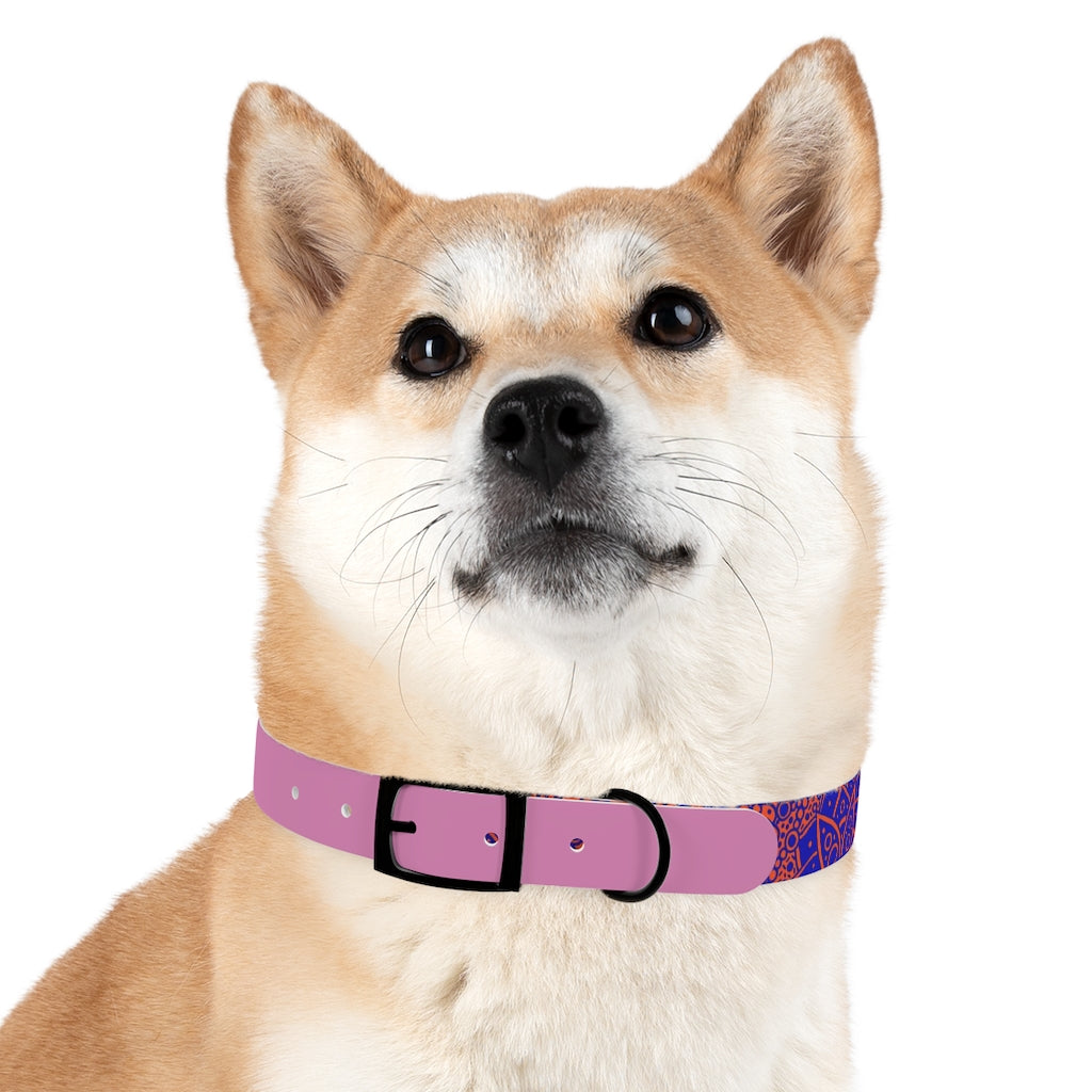 Dog Collar