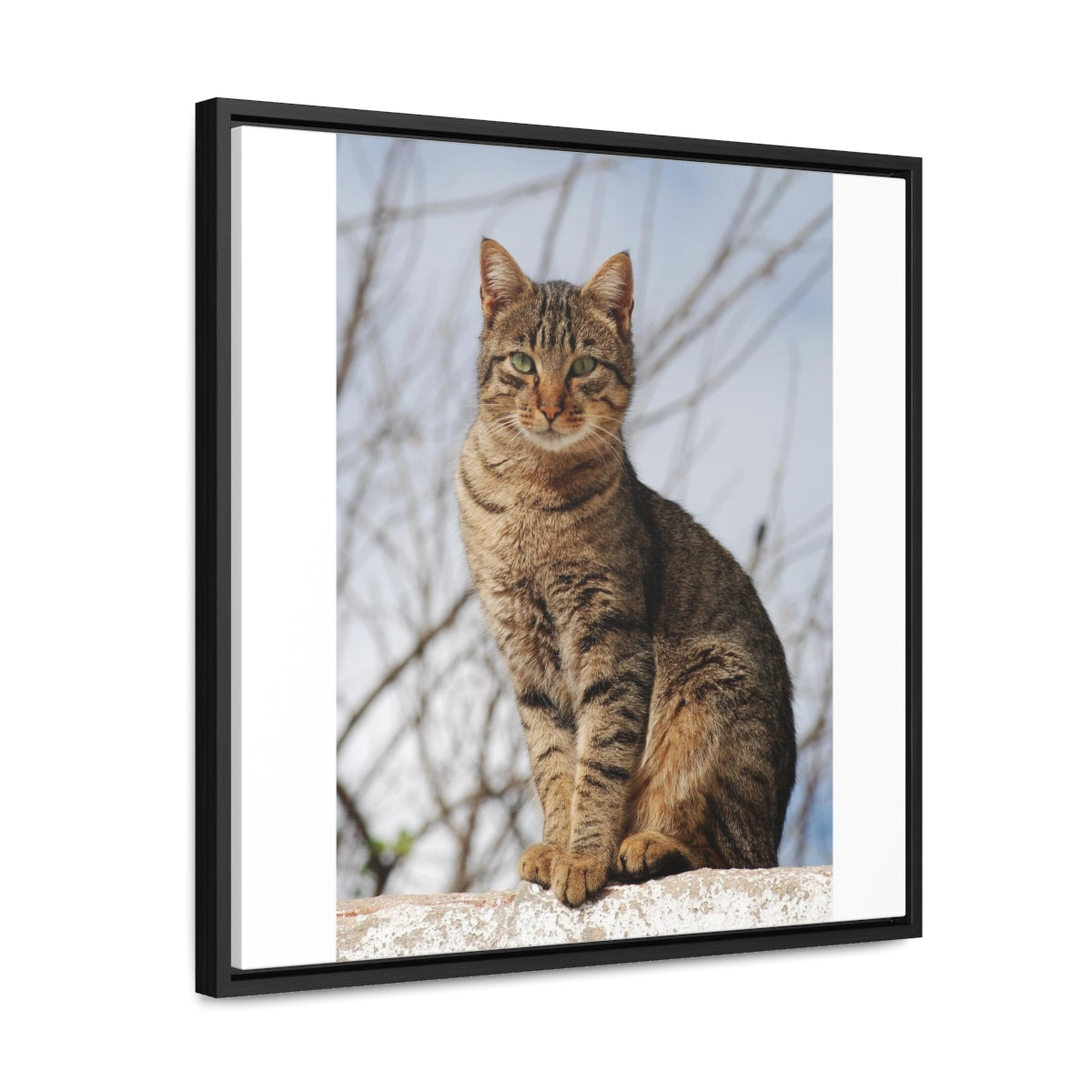 Gallery Canvas Wraps, Square Frame - preview test