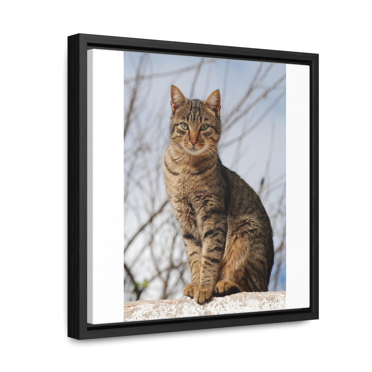 Copy of Gallery Canvas Wraps, Square Frame1