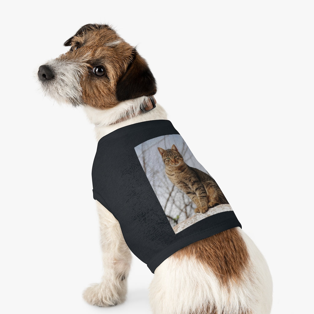 Pet Tank Top