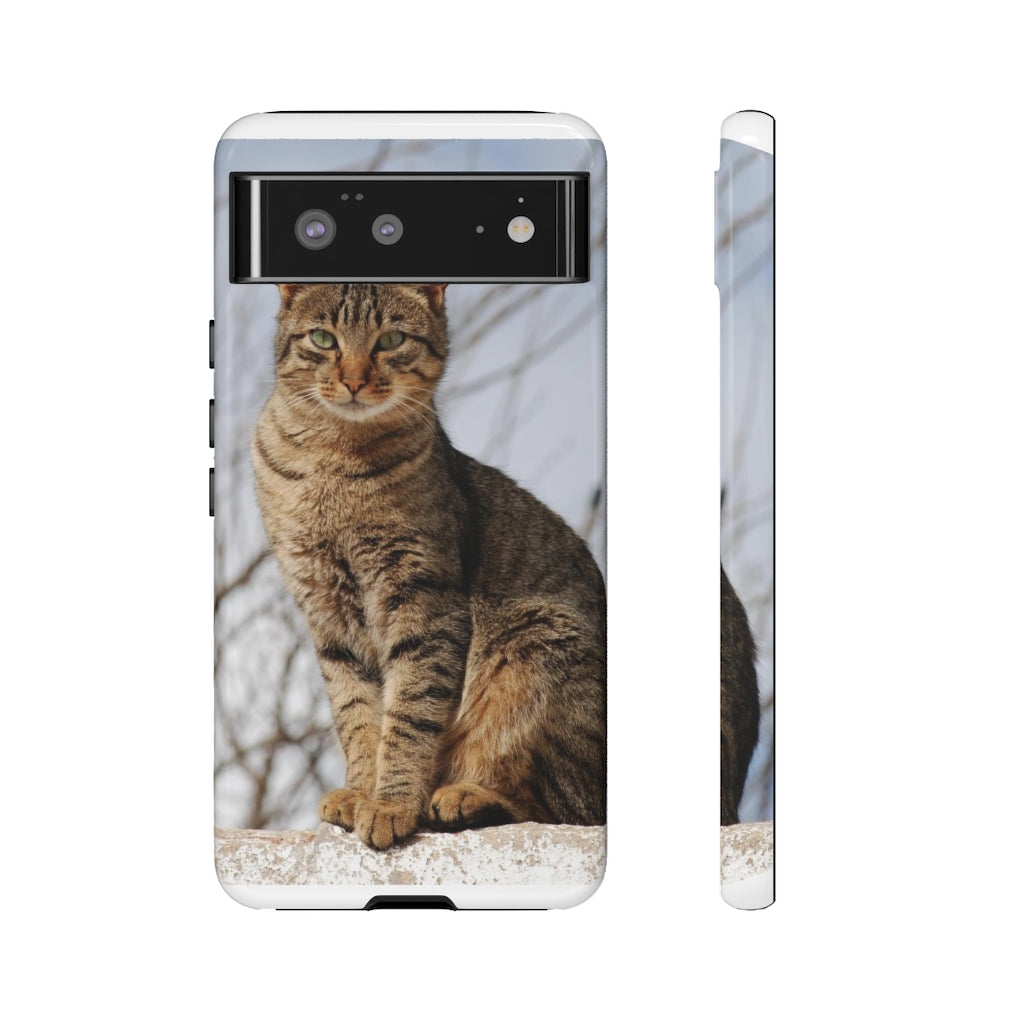 Tough Cases - preview test