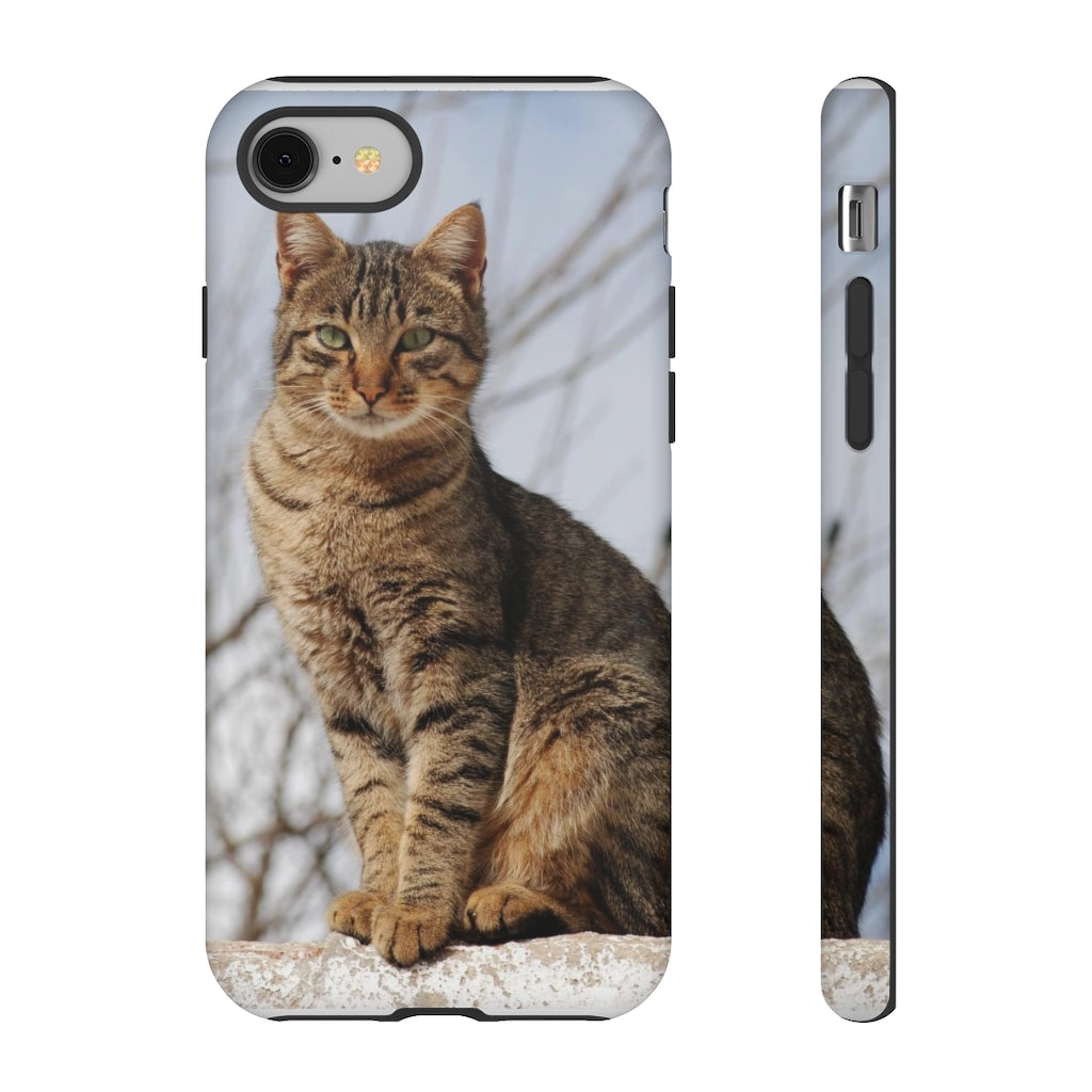 Tough Cases - preview test