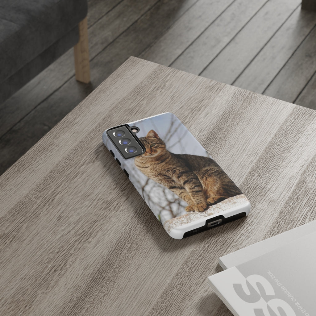 Tough Cases - preview test