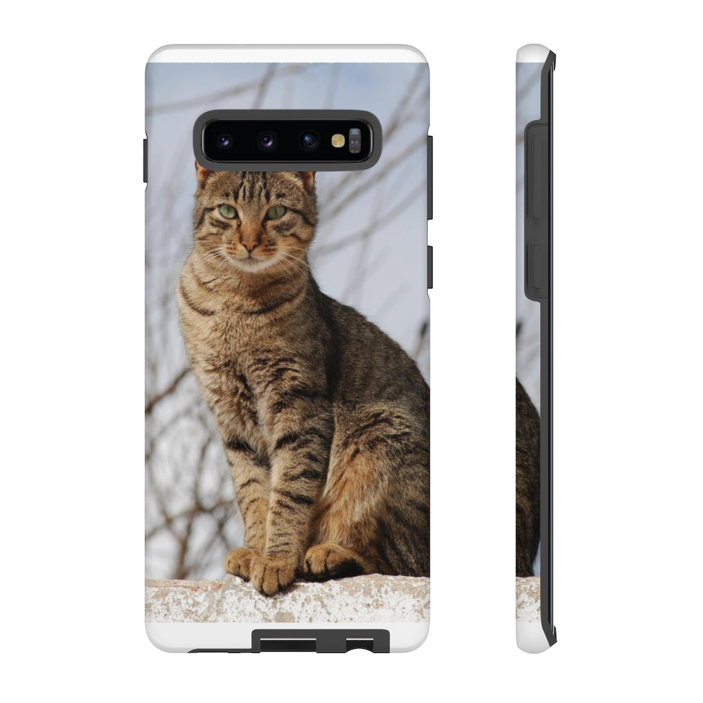 Tough Cases - preview test