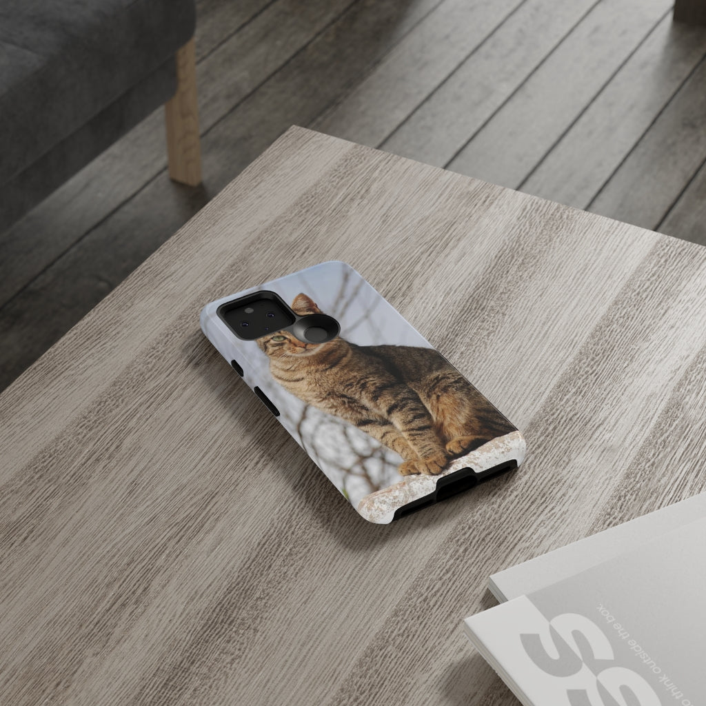 Tough Cases - preview test