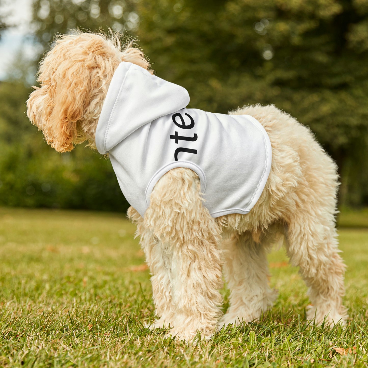 Dog Hoodie