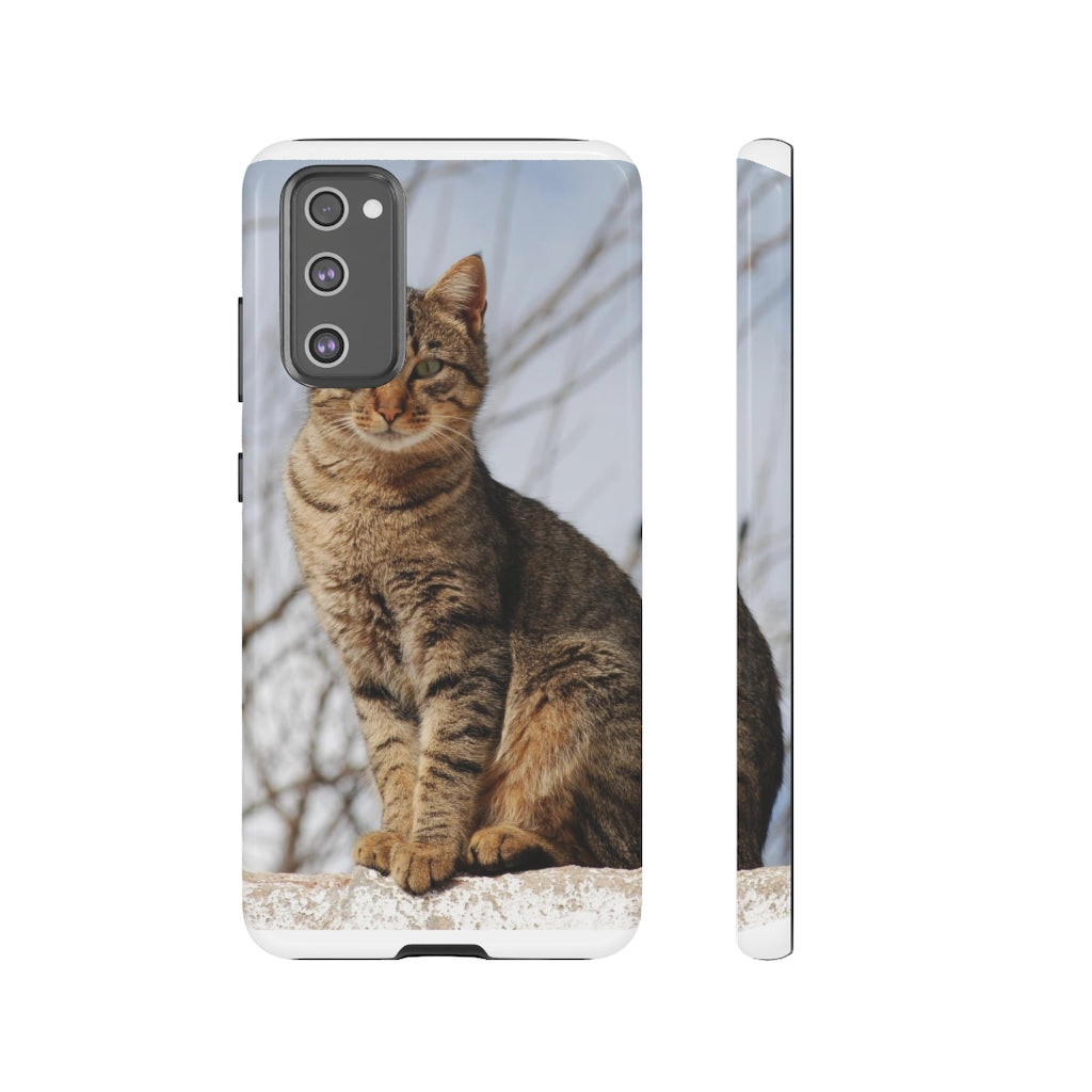 Tough Cases - preview test