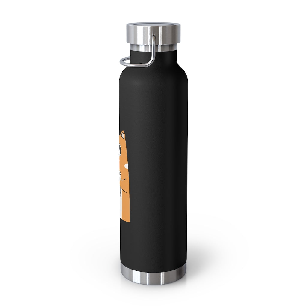 22oz Vacuum Insulated Bottle