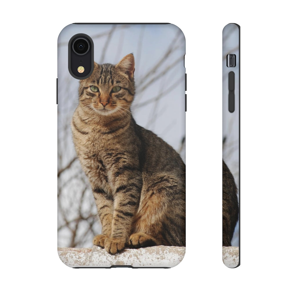 Tough Cases - preview test