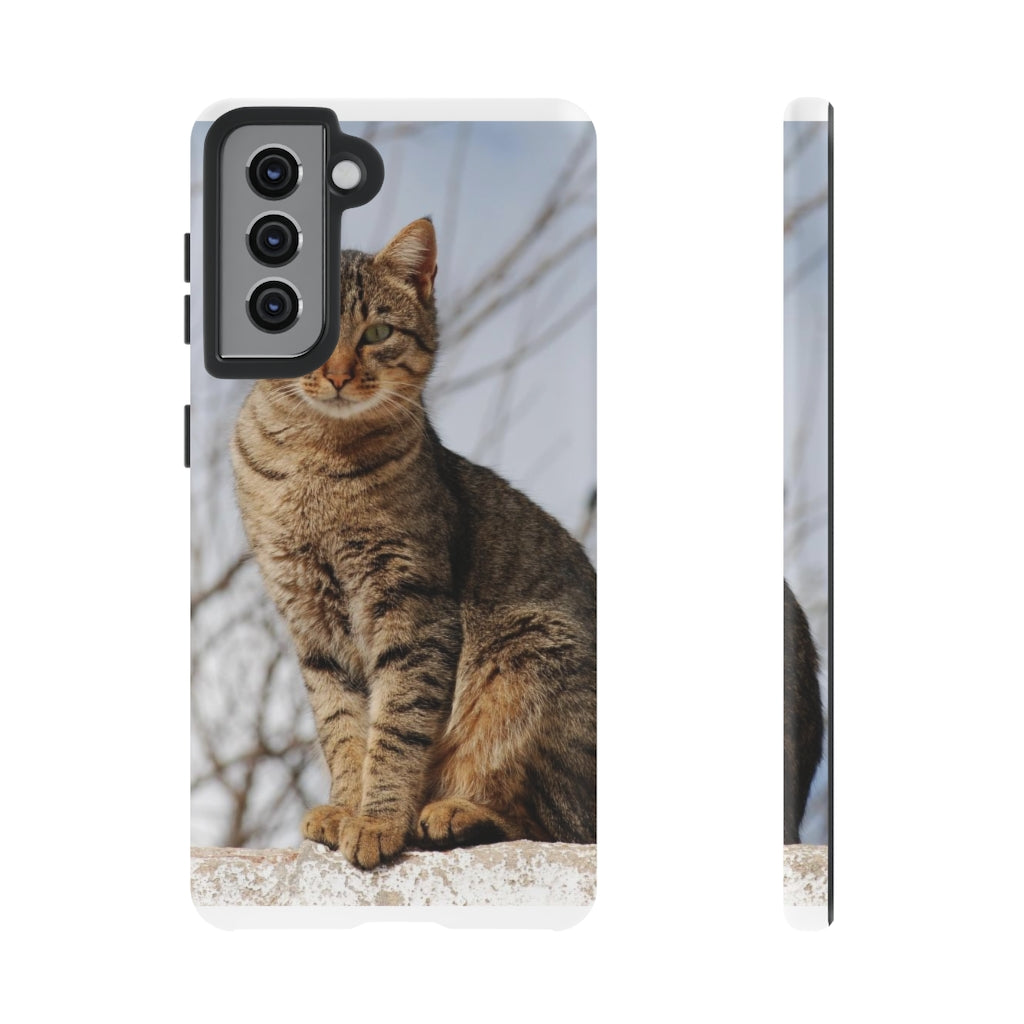 Tough Cases - preview test