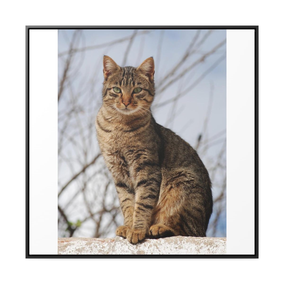 Copy of Gallery Canvas Wraps, Square Frame1