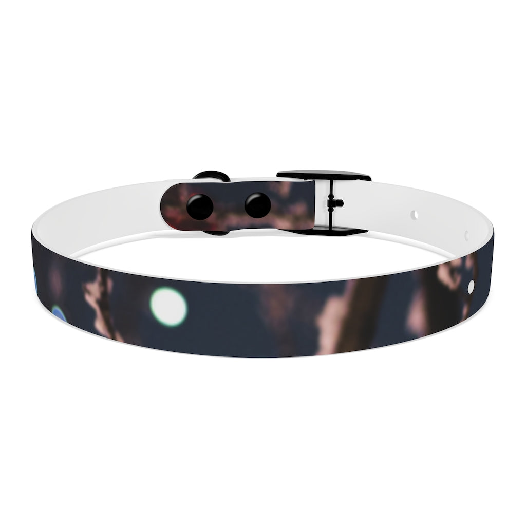 Dog Collar
