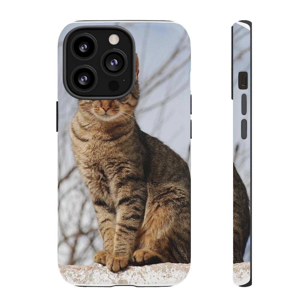 Tough Cases - preview test