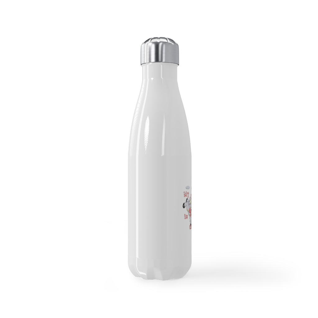 Stainless Steel Water Bottle, 17oz