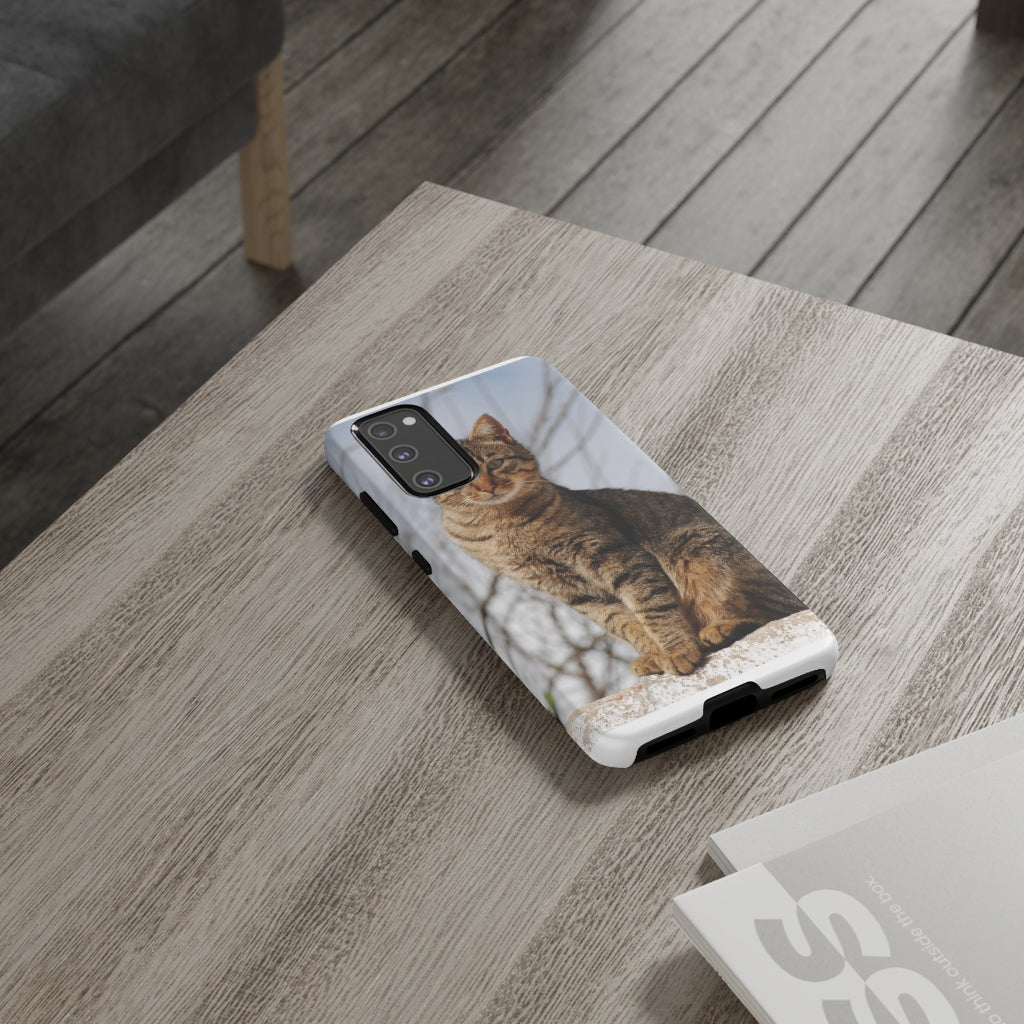 Tough Cases - preview test