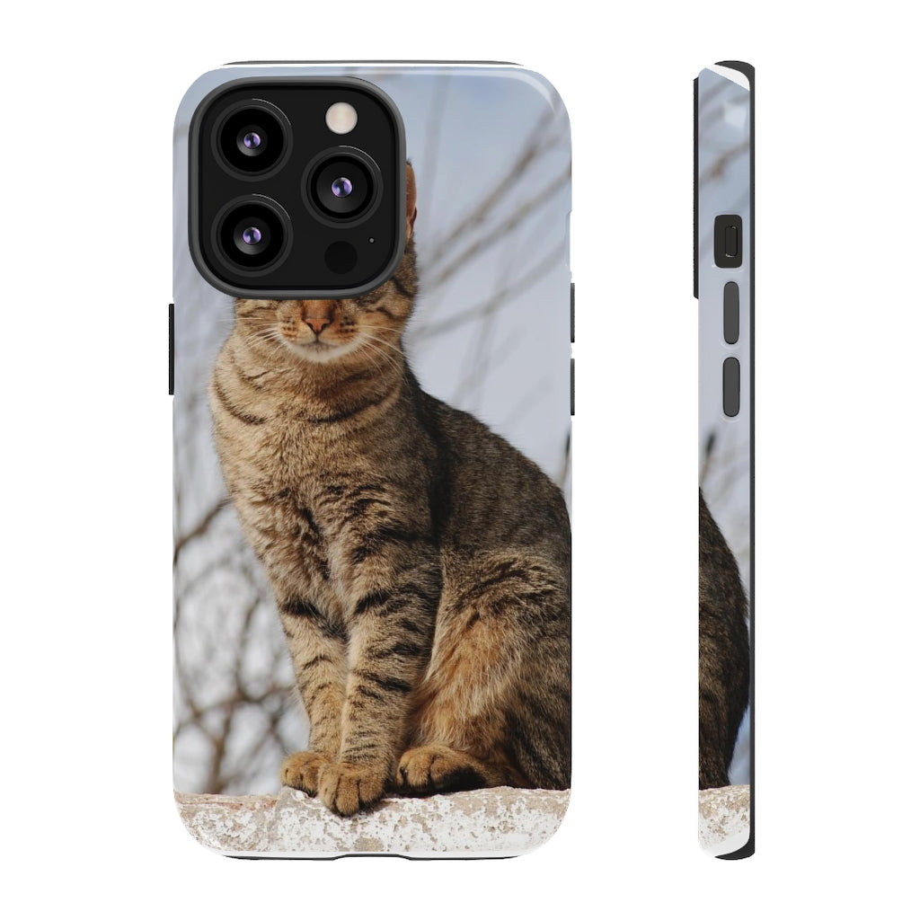 Tough Cases - preview test