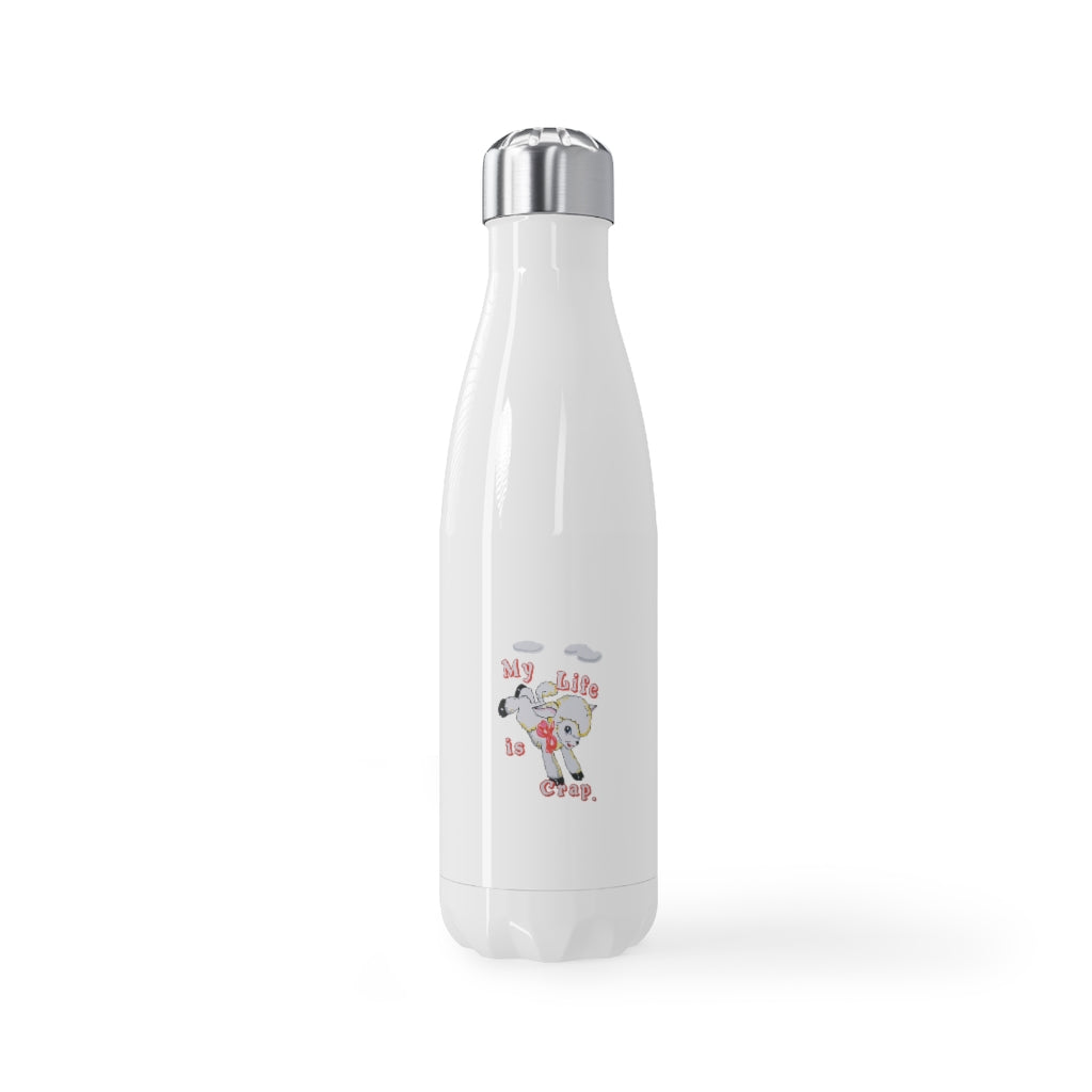 Stainless Steel Water Bottle, 17oz