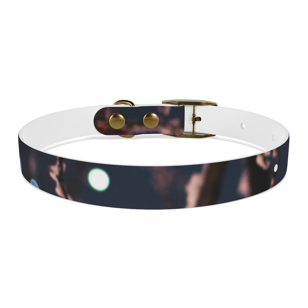 Dog Collar