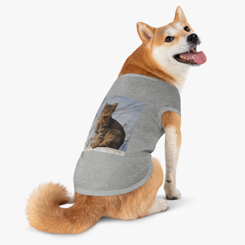 Copy of Pet Tank Top