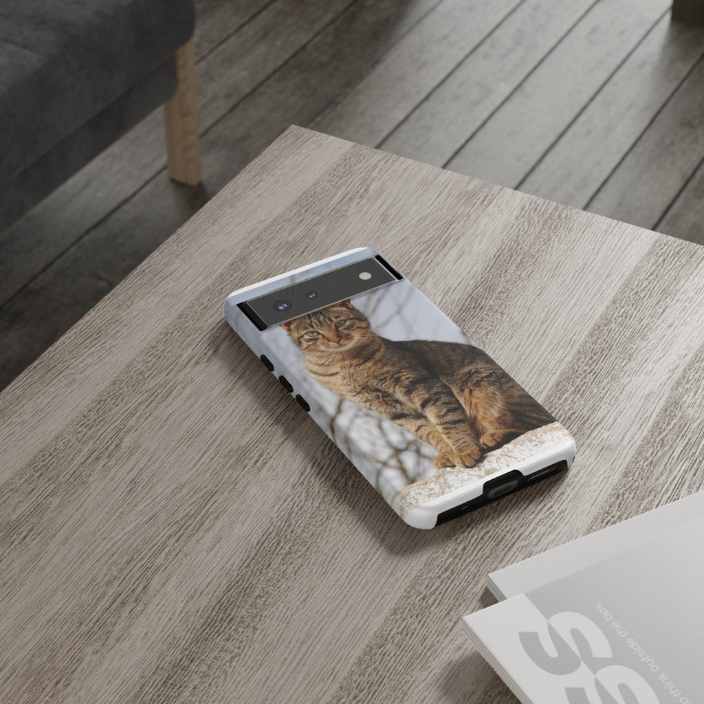 Tough Cases - preview test