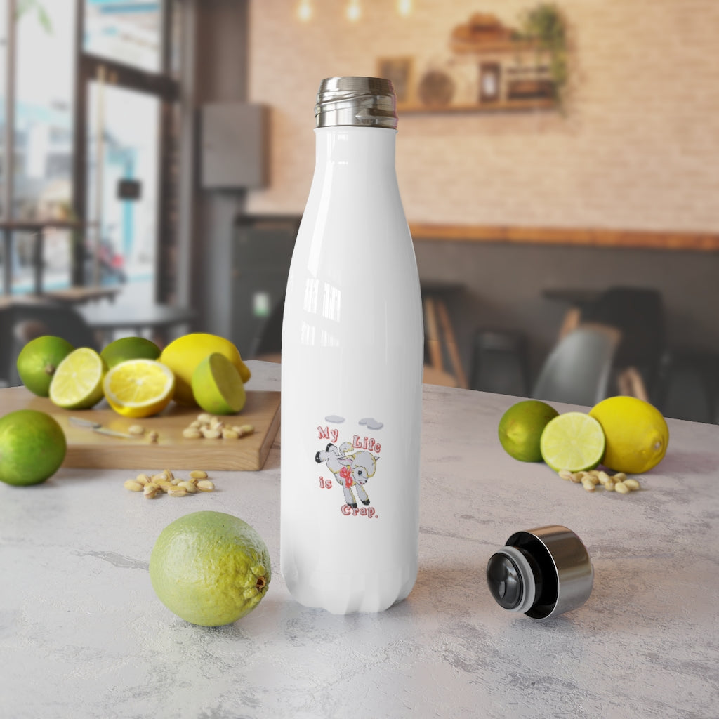 Stainless Steel Water Bottle, 17oz