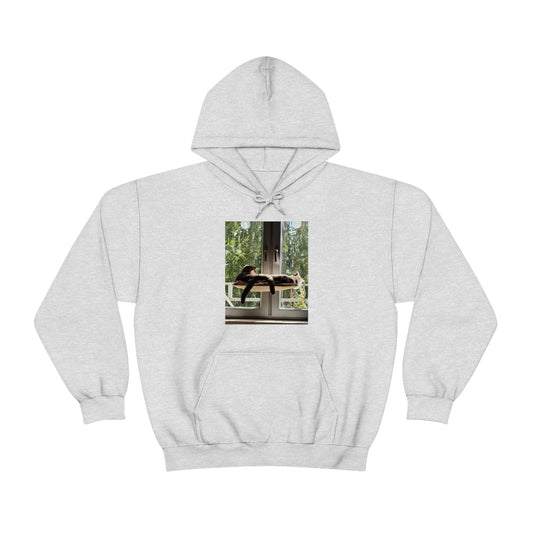 Dan order test 2 - Unisex Heavy Blend™ Hooded Sweatshirt