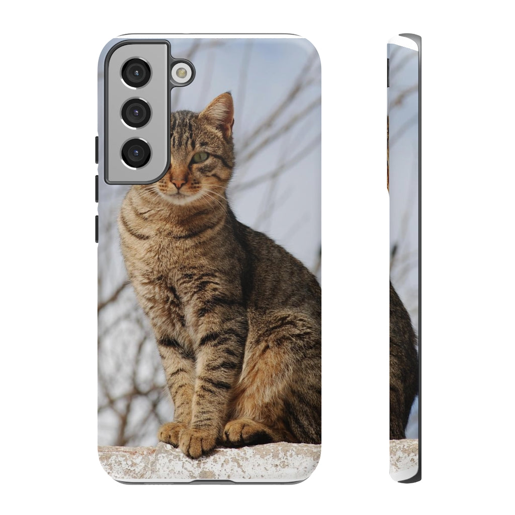 Tough Cases - preview test