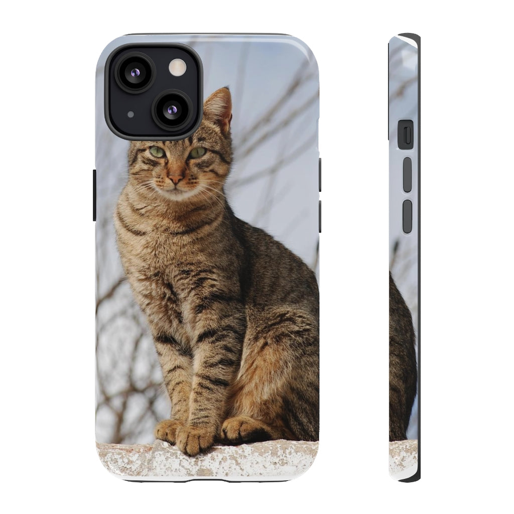 Tough Cases - preview test