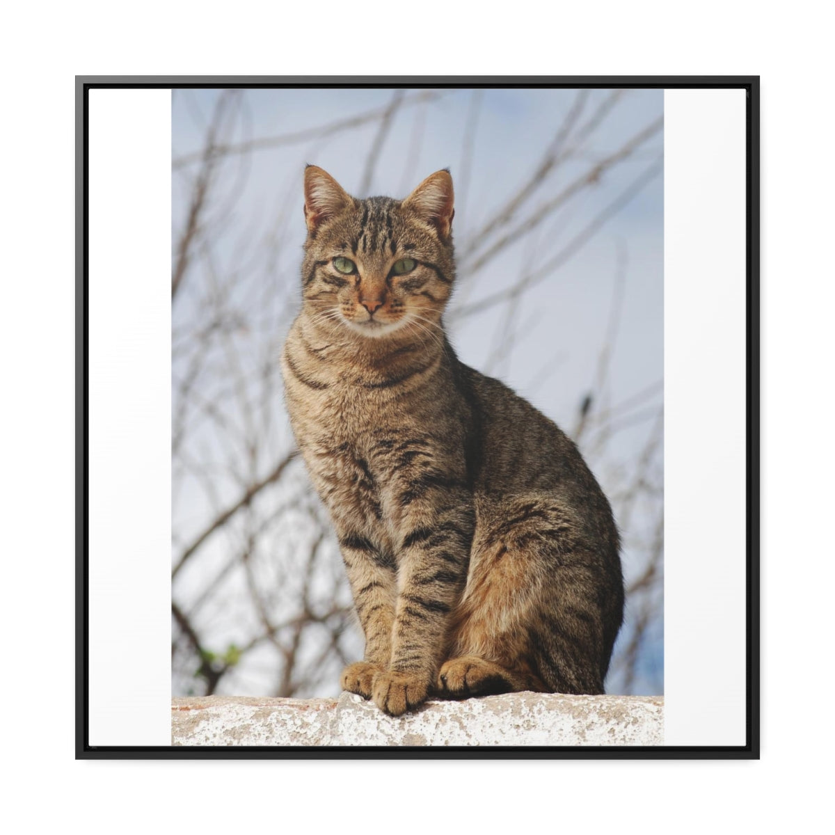 Copy of Gallery Canvas Wraps, Square Frame1