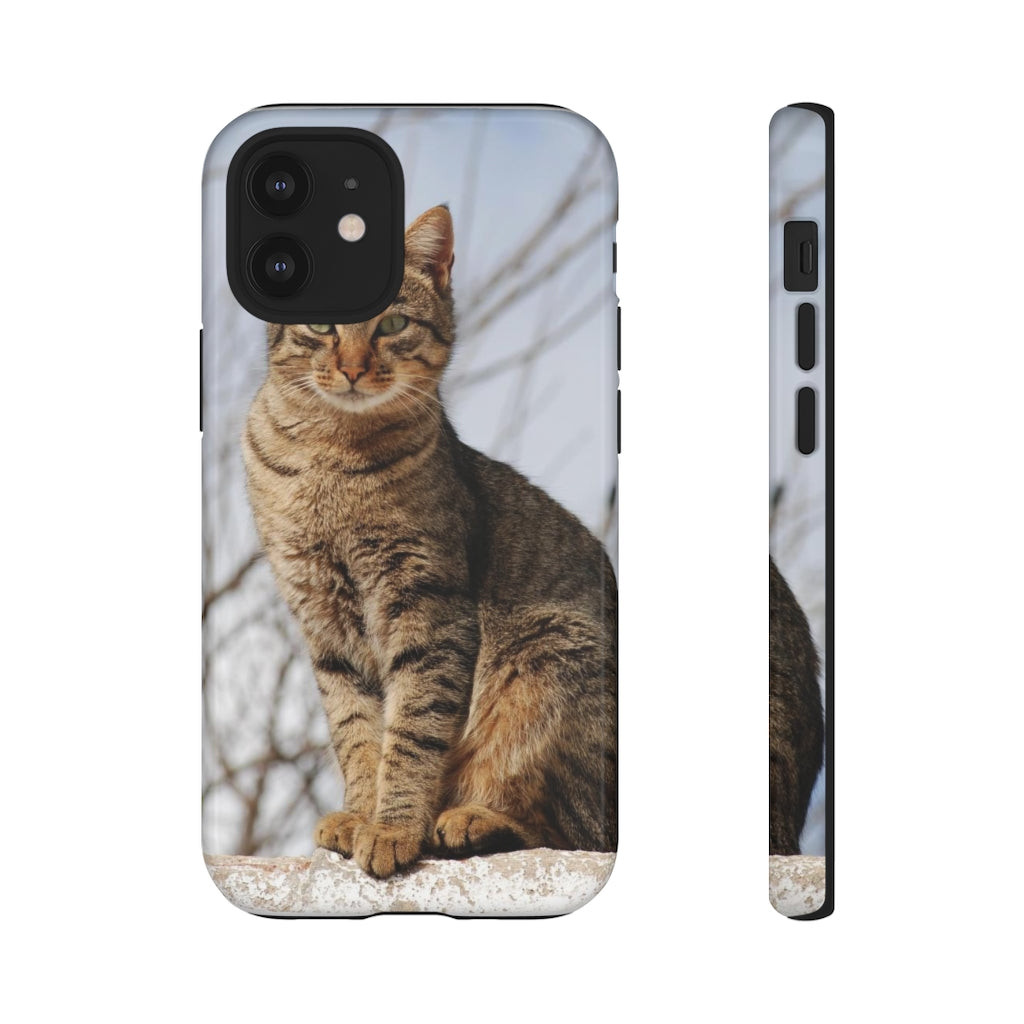 Tough Cases - preview test