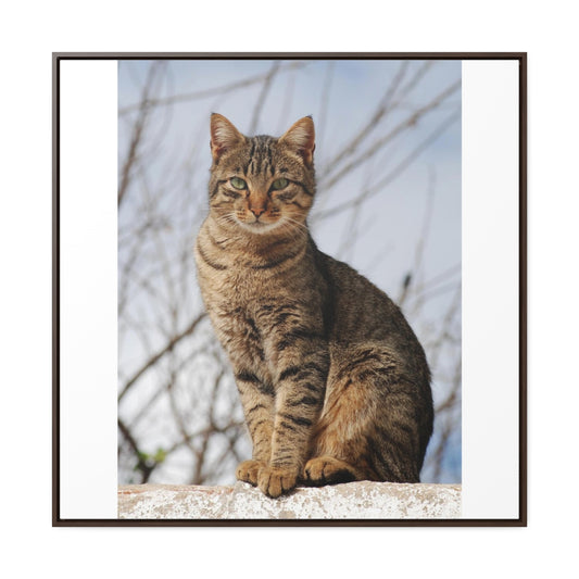 Copy of Gallery Canvas Wraps, Square Frame1