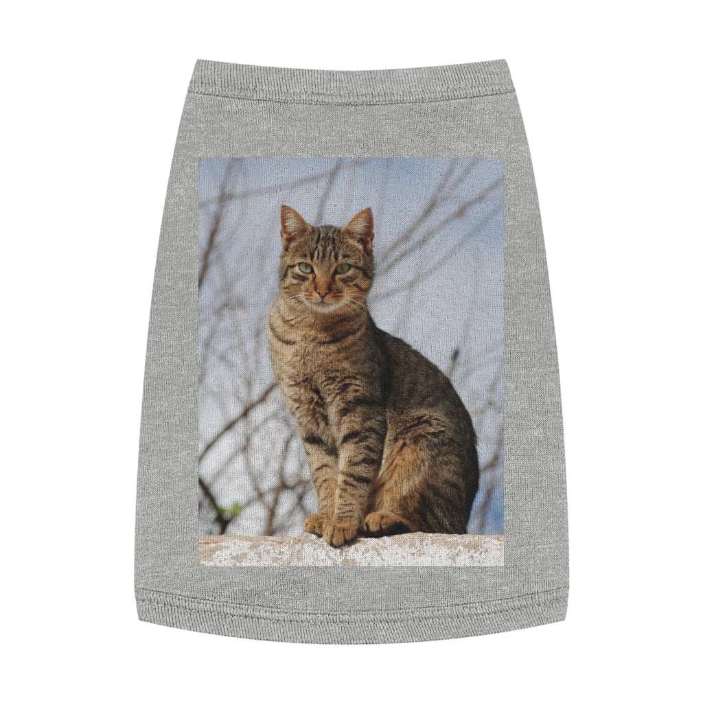 Copy of Pet Tank Top