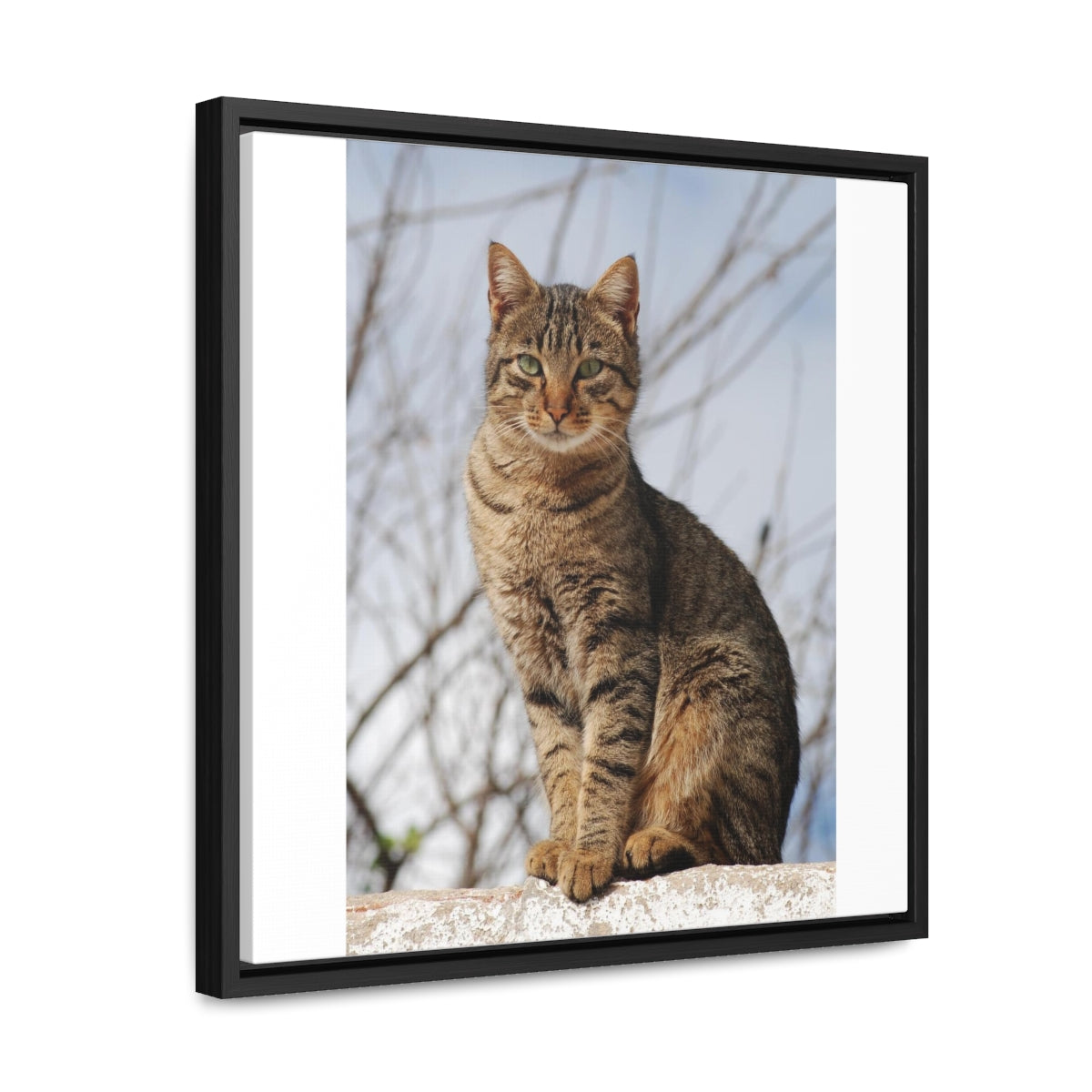 Gallery Canvas Wraps, Square Frame - preview test