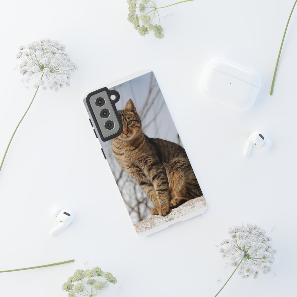 Tough Cases - preview test