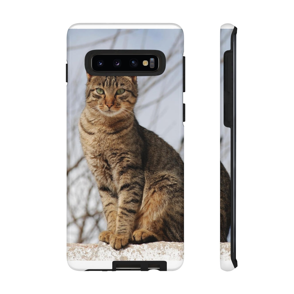 Tough Cases - preview test