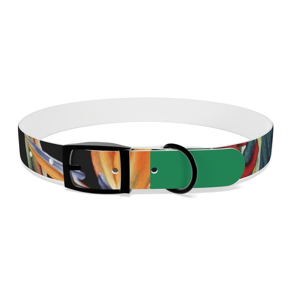 Dog Collar