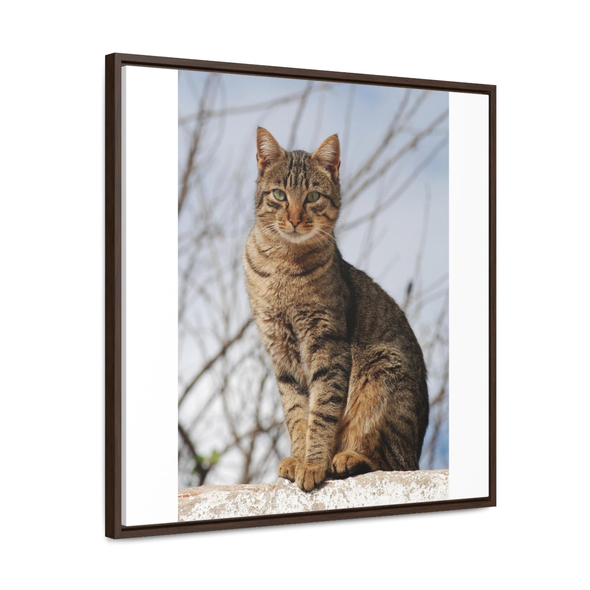 Copy of Gallery Canvas Wraps, Square Frame1