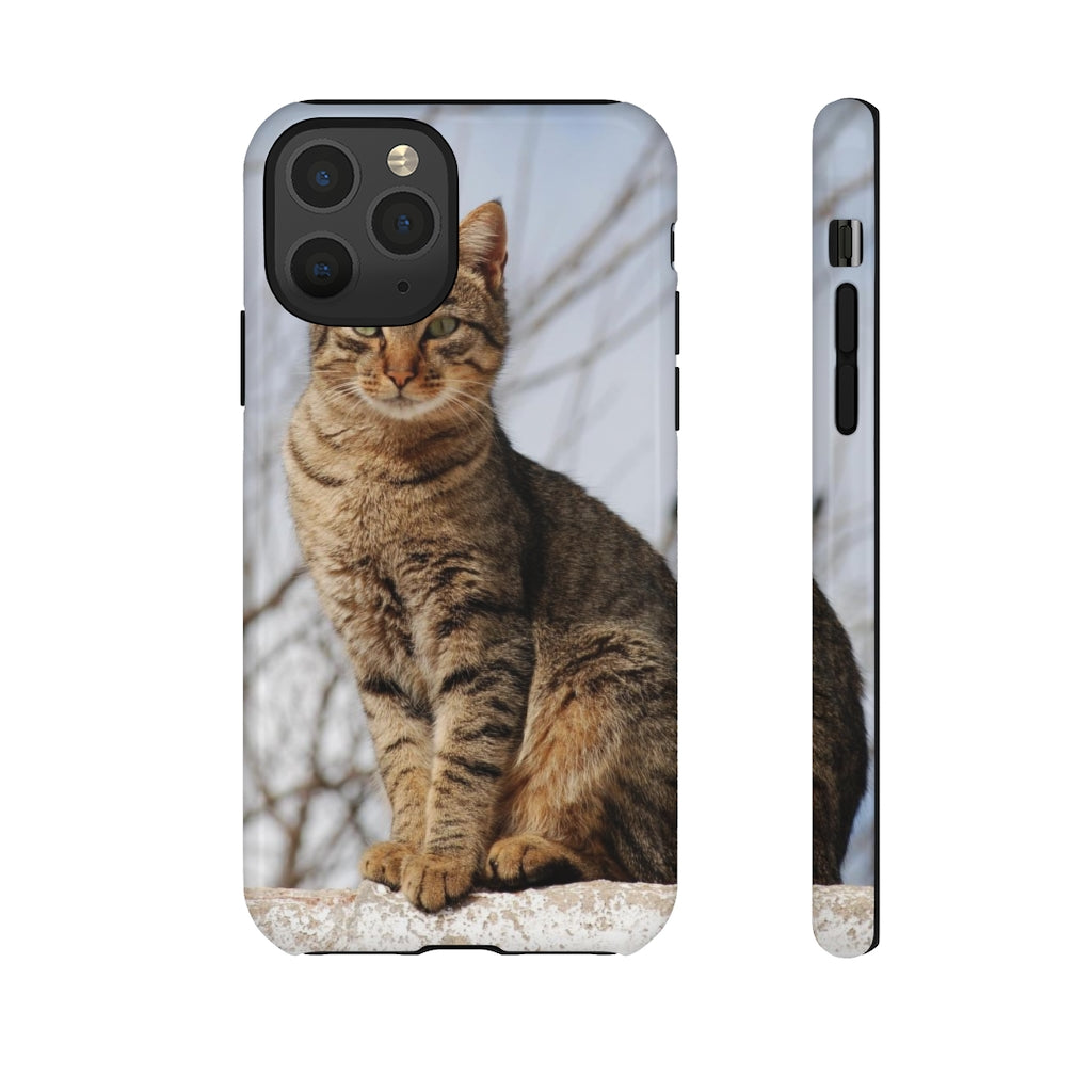 Tough Cases - preview test