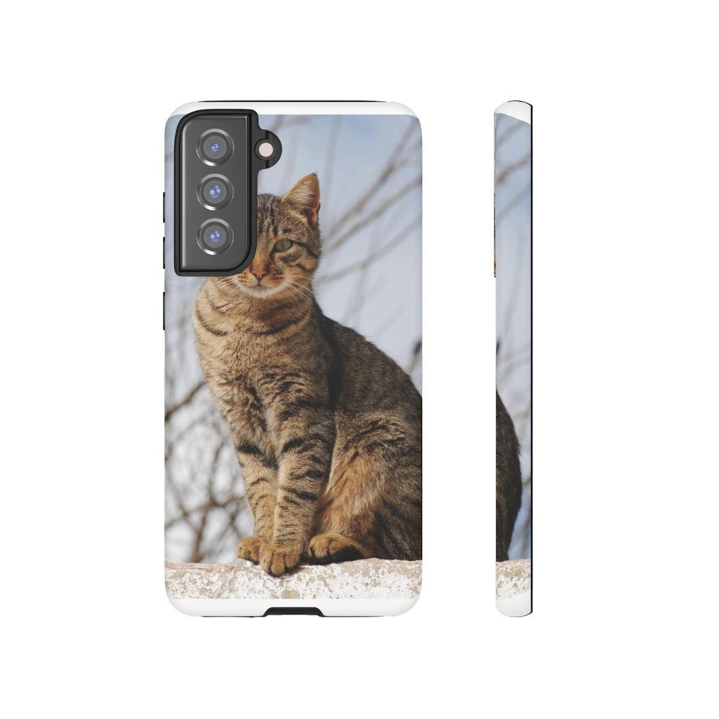 Tough Cases - preview test