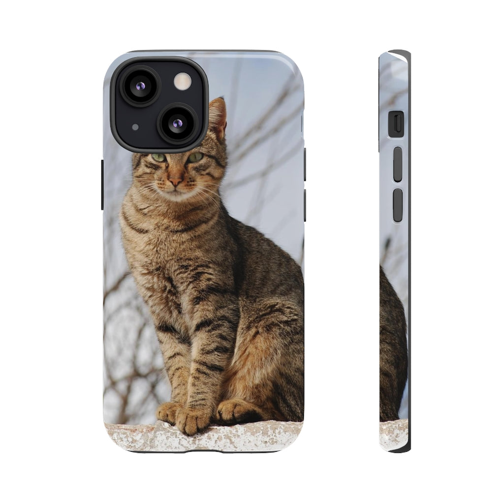 Tough Cases - preview test