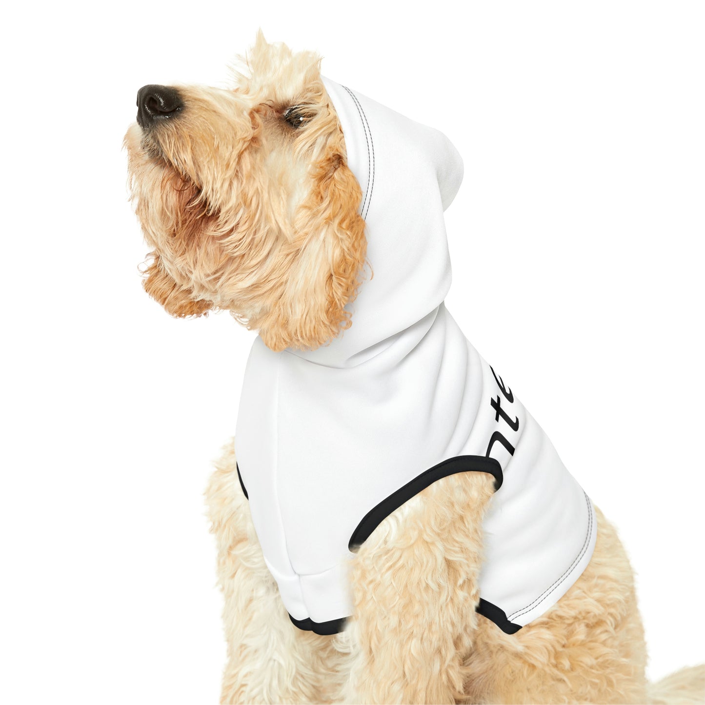 Dog Hoodie