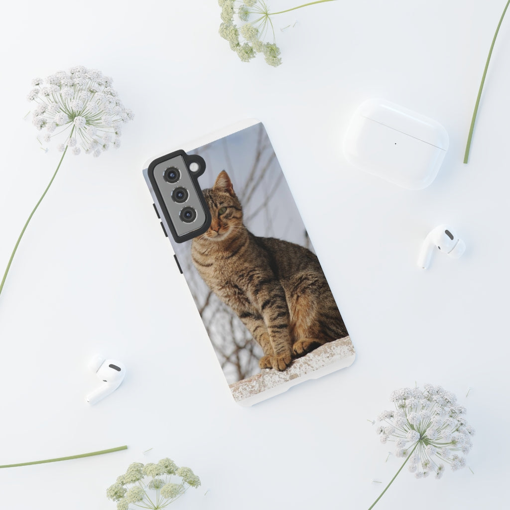 Tough Cases - preview test