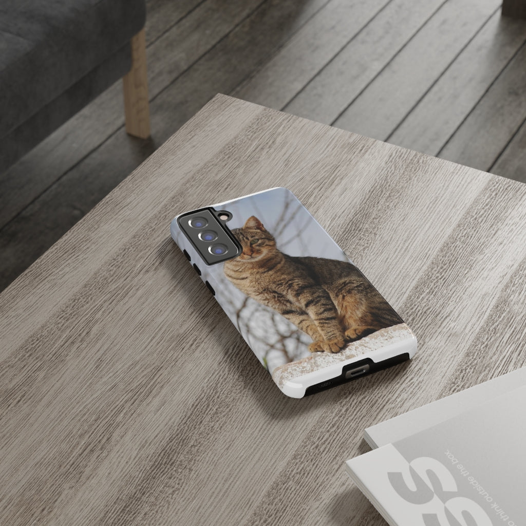 Tough Cases - preview test